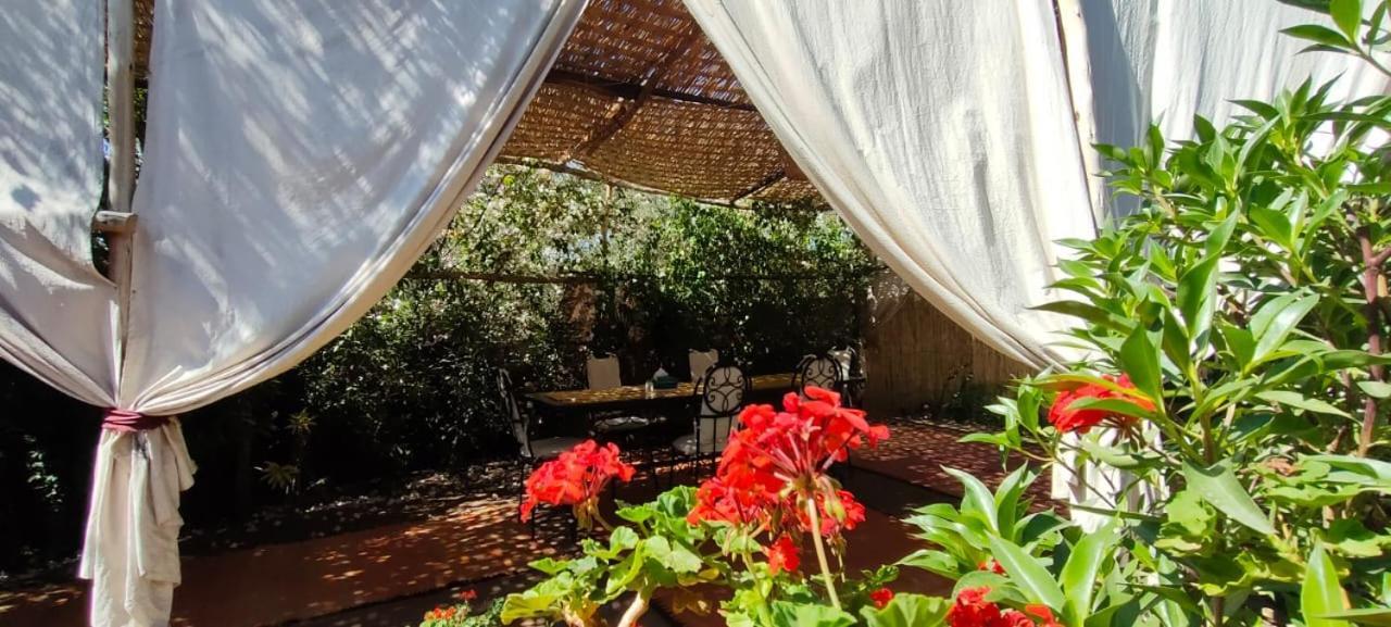 Dar Tadout Guest House Ait Ourir Exterior photo